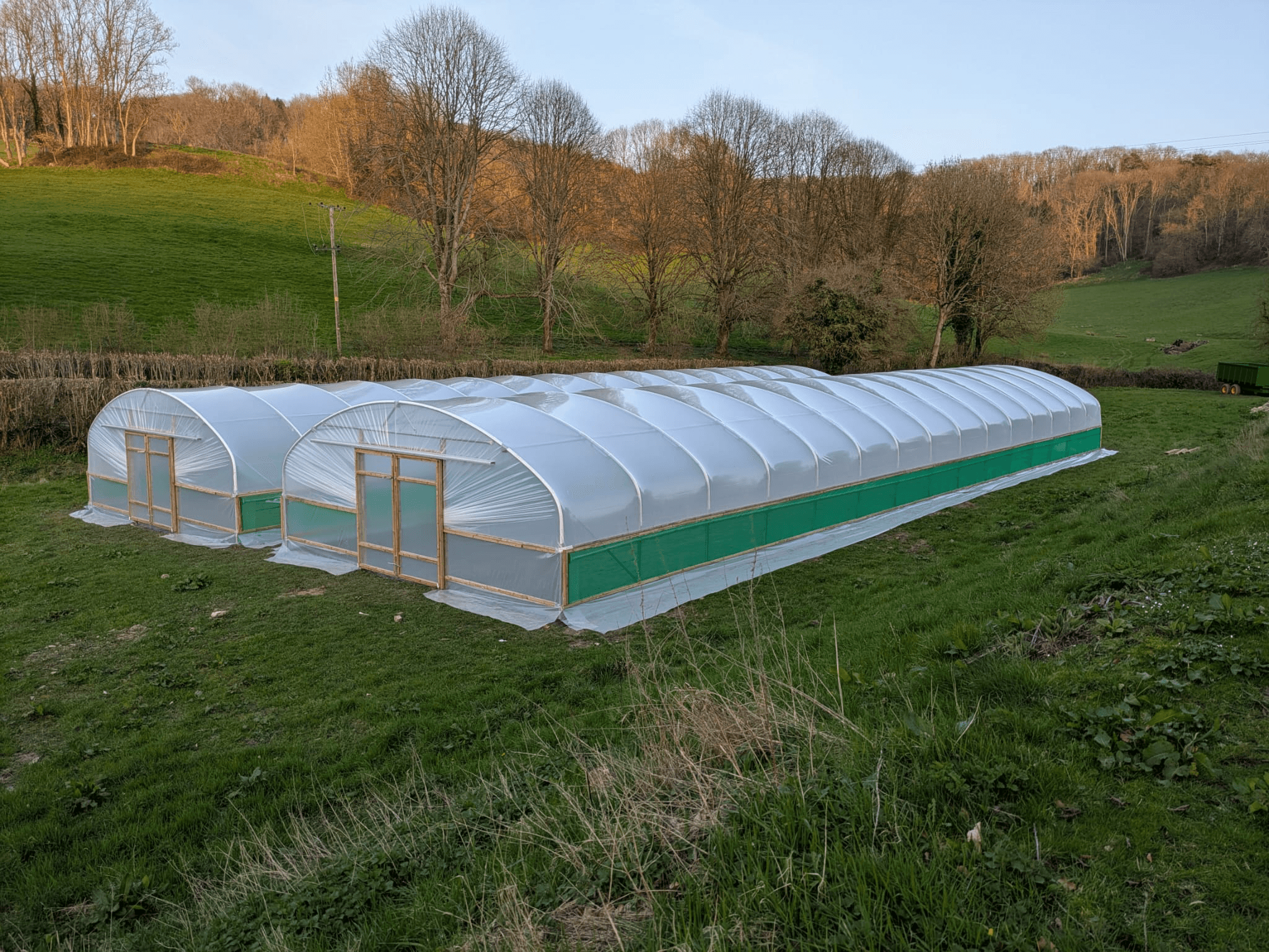 Poly tunnels for strawberries